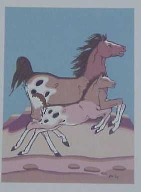 KAI SA   PERCY SANDY   ZUNI   APPALOOSA   HORSES  