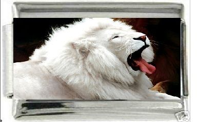 WHITE LION, YAWN, 9MM ITALIAN CHARM  