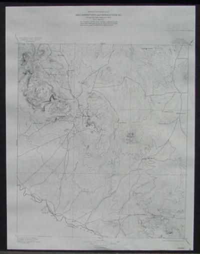 SHAFTER, ALAMITA, PRESIDIO, ALAMO, TEXAS, 1895 TOPO MAP  