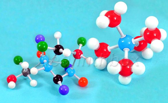 Atom Molecular Model Set Kit Teach General for Fans Organic Chemistry 