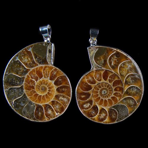 E83715 38x32x9 Pair Ammonite Fossi Pendant Beads  