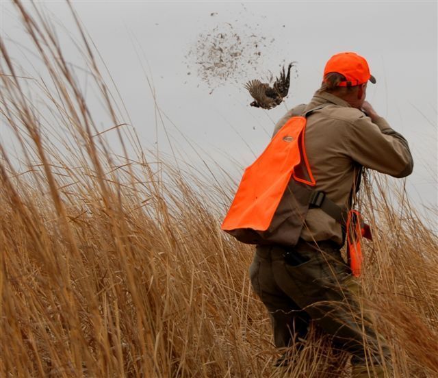 Avery GHG Greenhead Gear Upland Strap Pheasant Grouse Shooting Hunting 