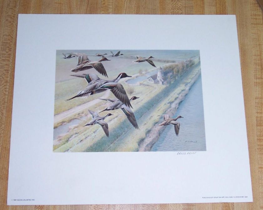 1991 United Kingdom Duck Stamp Press Prf Print McPhail  