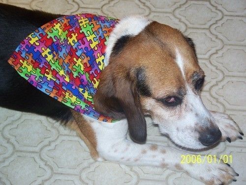 AUTISM AWARENESS DOG SCARF/BANDANACUSTOM MADE NEW  