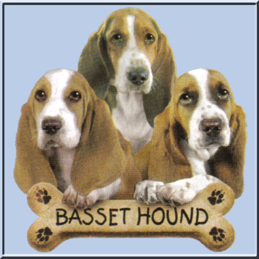 Basset Hound Puppies With Bone Dog Shirt S 2X,3X,4X,5X  