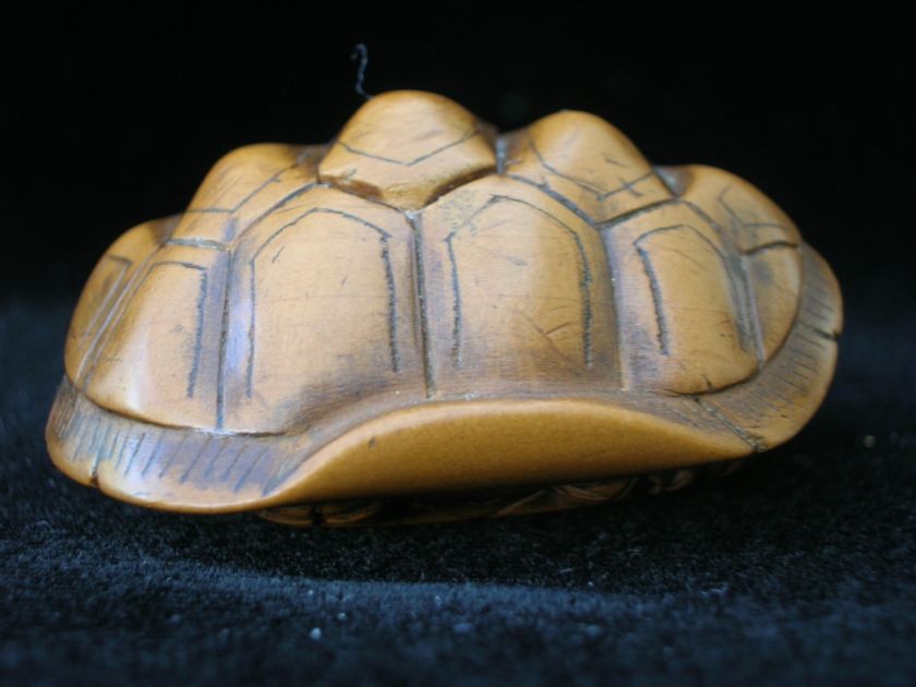 19th Century Edo Boxwood Netsuke of a Turtle Tortoise  