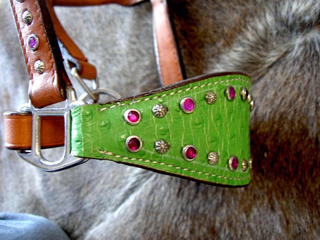 Miniature Horse FANCY Showmanship Halter Tack GREEN  