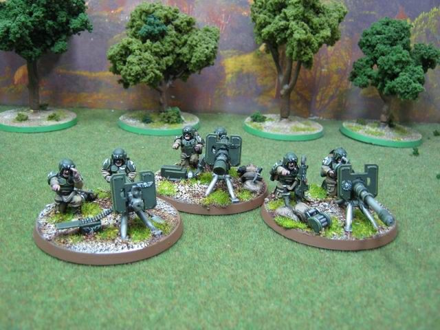 Warhammer 40K DPS painted Imperial Guard Cadian Heavy Weapon Squad 