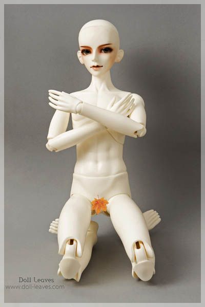 B60b 01 Doll Leaves 1/3 male BODY SUPER DOLLFIE size bjd SD Ball 