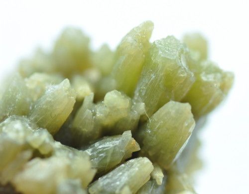 apple green PYROMORPHITE barrel prisms cluster )  