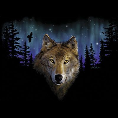 Northern Lights Wolf Sweatshirt Sizes/Color Choices  