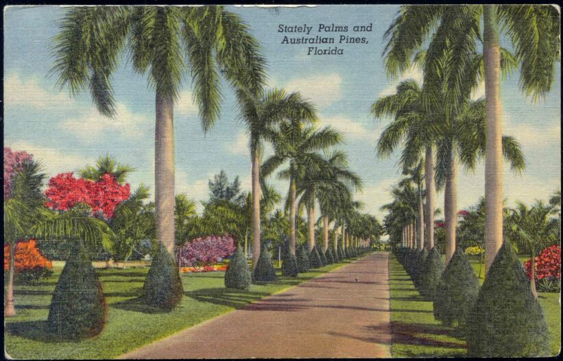 ed g w romer miami tropical florida series no 282f