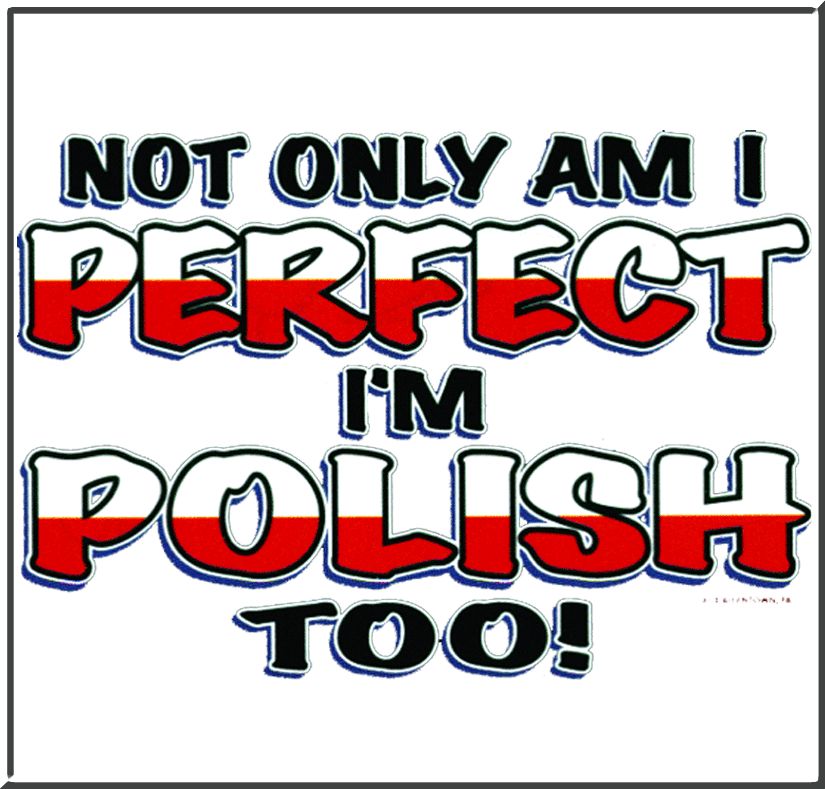 Not Only Am I Perfect Im Polish Too Shirt S 2X,3X,4X,5X  