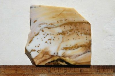 SC Wonderful Polka Dot Agate Slab Cabs 185  