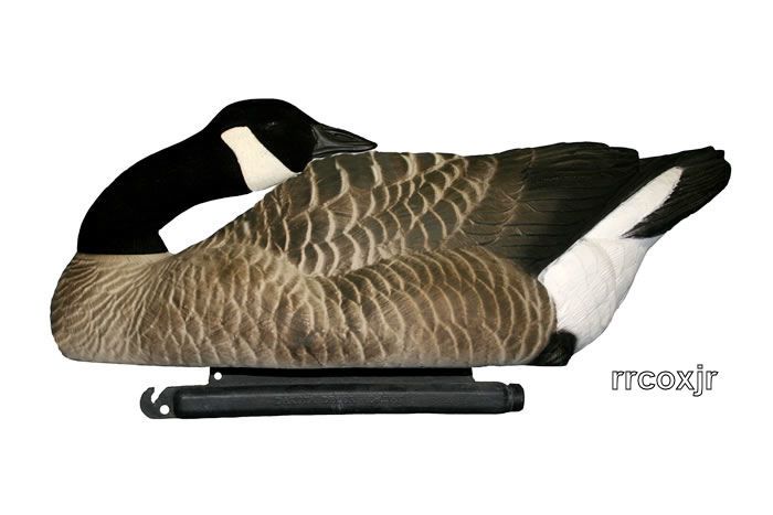 DAKOTA X TREME HONKERS CANADA GOOSE FLOATER DECOYS NEW 718122259342 