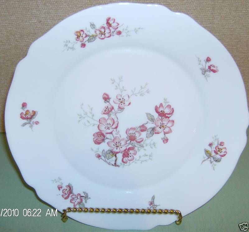 Arcopal China Florentine Dinner Plate VGC France  