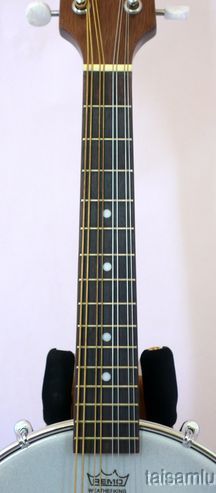 Rally mandolin banjo 8 string REMO head DMB 02  