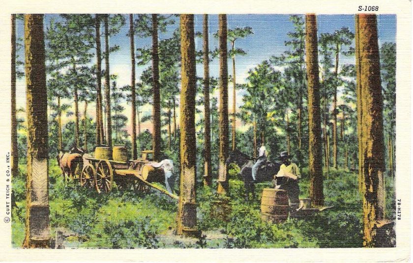 Vintage LINEN Postally Used POSTCARD Maple Syrup Gather  