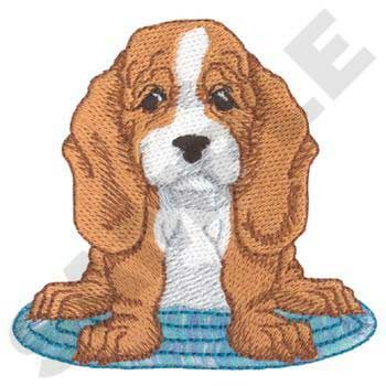 Basset Hound   puppy