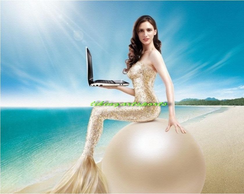 wonderful paintingsexy mermaid sit with notebook PC  