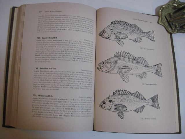 1954 HOW TO FISH THE PACIFIC COAST   MANUAL ILLUSTRATED  