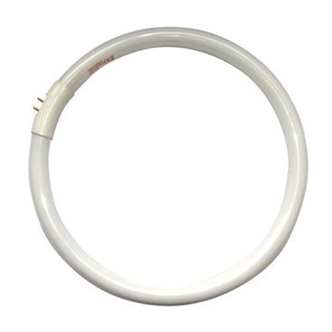 Daylight 28W/T5 Circular Fluorescent Tube (5000K) 809802000030  