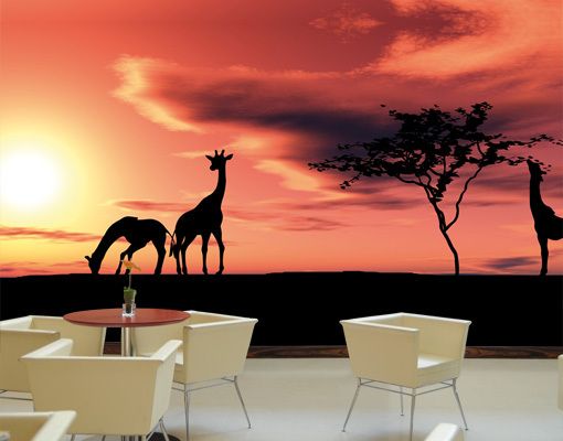 African Savannah Wall Mural Designer Wallpaper 5mx2.8m  