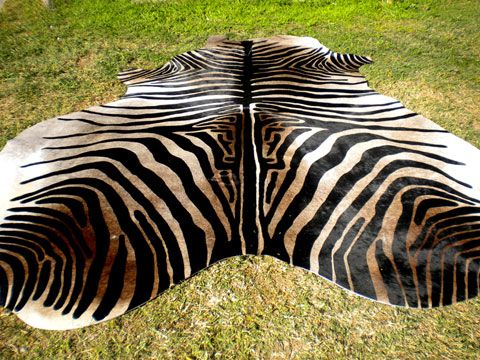 ZEBRA Print/Printed COWHIDE SKIN Rug steer COW HIDE  